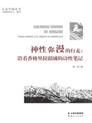 cover image of 神性弥漫的行走